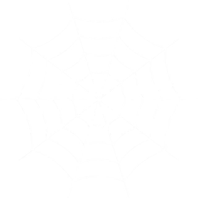 PajeczeSieci